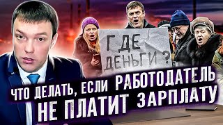 видео: Что делать, если РАБОТОДАТЕЛЬ НЕ ПЛАТИТ ЗАРПЛАТУ в условиях пандемии // как БОРОТЬСЯ с работодателем картинка: Что делать, если РАБОТОДАТЕЛЬ НЕ ПЛАТИТ ЗАРПЛАТУ в условиях пандемии // как БОРОТЬСЯ с работодателем