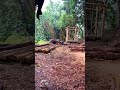 (10) 森で最悪なエリアを、最高の場所に開拓！　(山小屋の骨組みが終わり、側面の組み立て！)