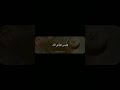 كن في حمى الرحمن انشودة قلها بصوت مشارى راشد العفاسي الجزء الأخير اناشيد العفاسي قلها مشاري العفاسي