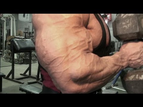 Anabolico muscular