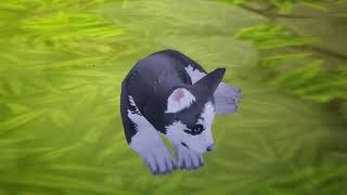 Do Not Get This Pet in Wildcraft. (Joke.)