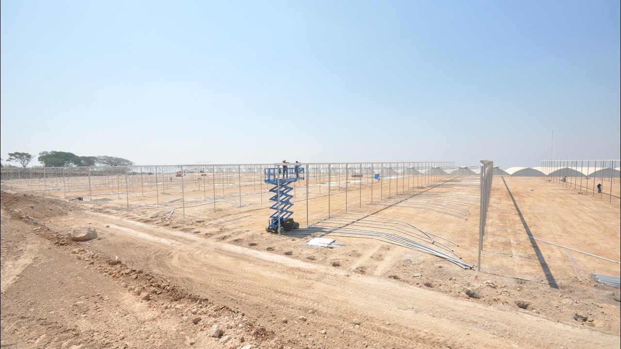 Essential Guide to Commercial Greenhouse Installation for Optimal Yields by Harnois