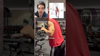 Triceps like a pro!