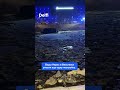 Воды Нерис в Вильнюсе унесли еще одну постройку.