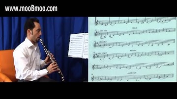 mooBmoo com Clarinet E015