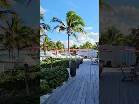 Бюджетные места для