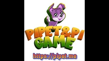 PiPet launch mainnet