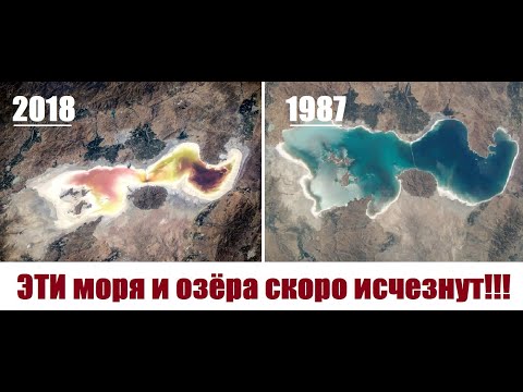 Какие моря и