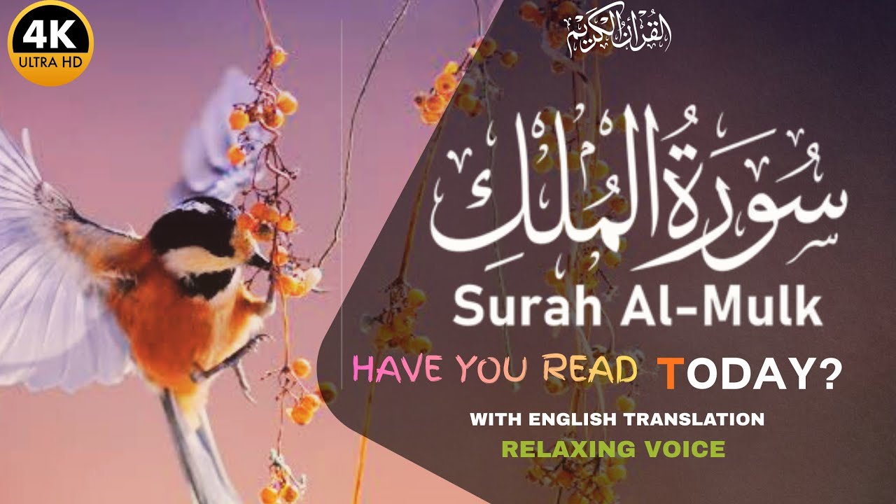 Deep Sleep Relaxing Quran ♡ FALL ASLEEP IMMEDIATELY, Surah Al Mulk سورة الملك | 