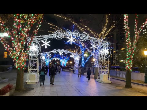 Osaka Nakanoshima Illuminations 大阪 中之島 イルミネーション【4K】