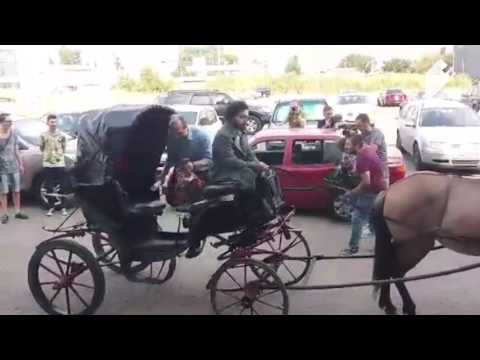 „გირჩმა“ ცესკო-ში ხელმოწერები ფაეტონით მიიტანა