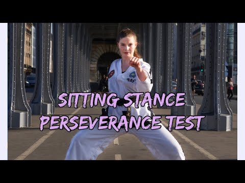 Martial Artist Perseverance