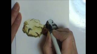 rocks watercolor paint natural