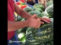 Amazing watermelon tricks