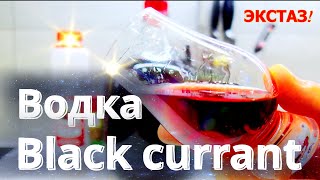 :   |   |  Black currant  