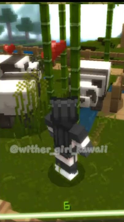 DJ Menimisu, I play Minecraft using a texture pack