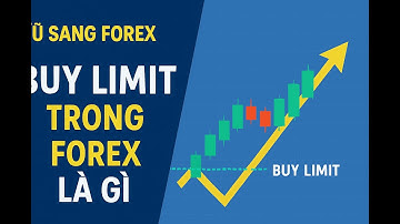 Buy Limit Trong Forex Là Gì? | Hiểu Đúng Lệnh Chờ Mua & Cách Sử Dụng Hiệu Quả