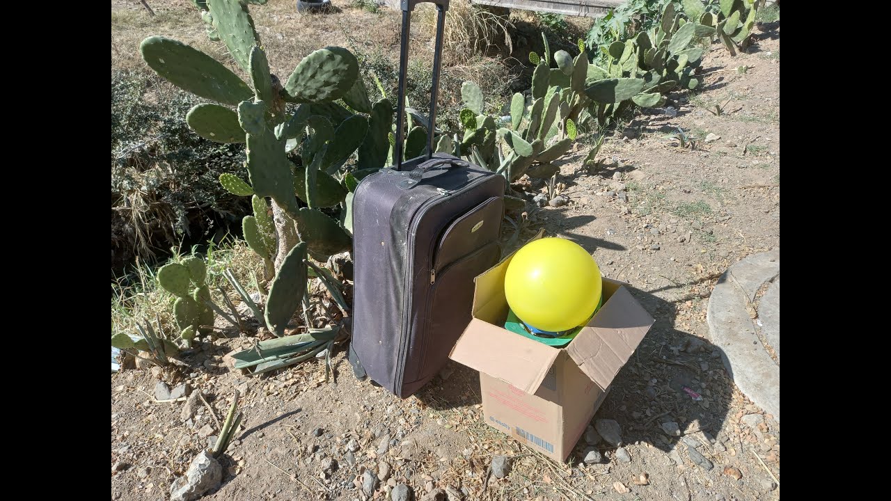 Cuando llegas de EUA al rancho, cargado de regalos.