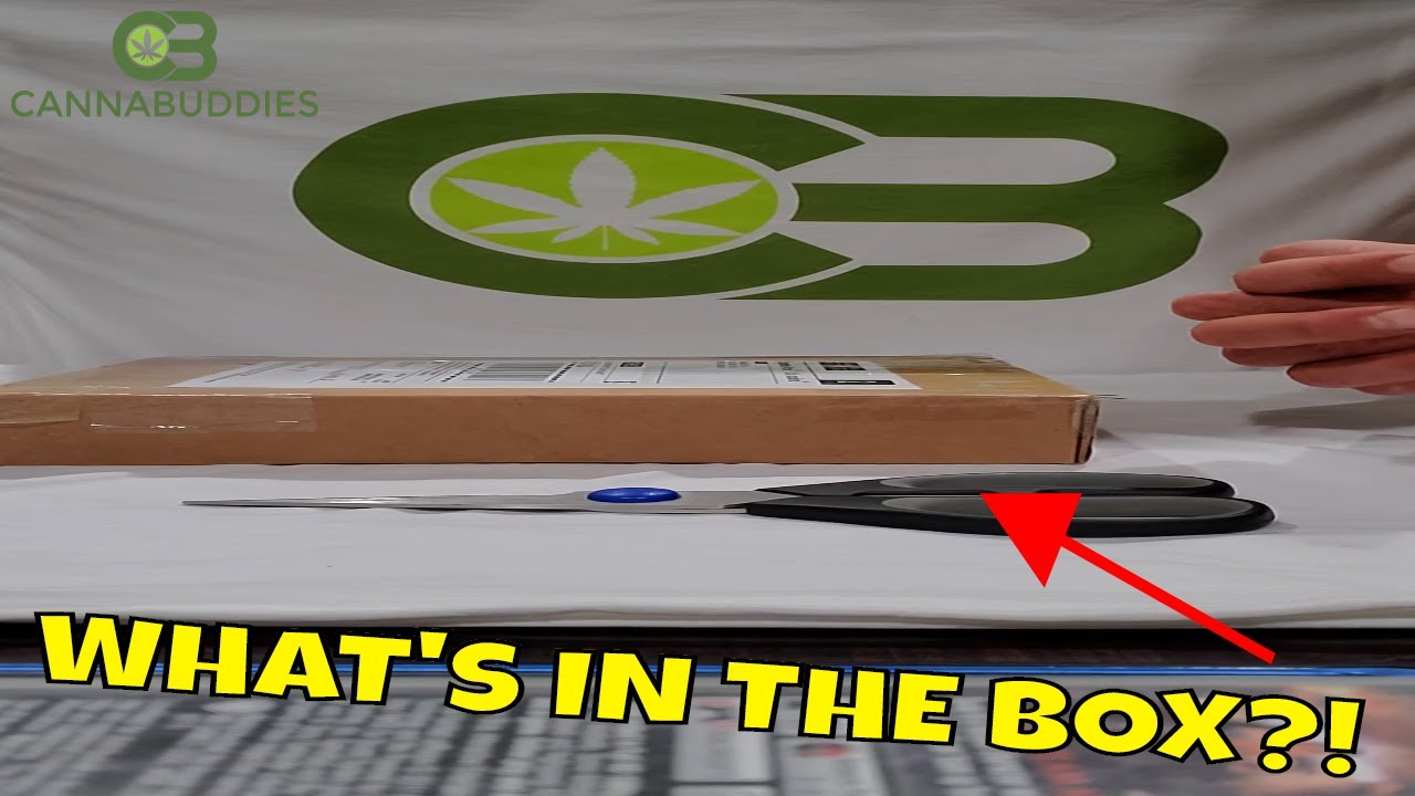 Shelter Market Unboxing Review 2020 & Promo Code