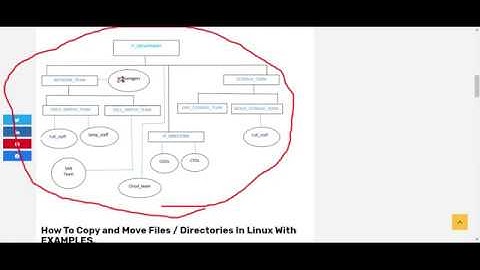 How To Copy and Move Files In Linux Using examples (Module 2.2)