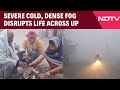 Uttar Pradesh News | Severe Cold And Dense Fog Disrupts Life Across Uttar Pradesh