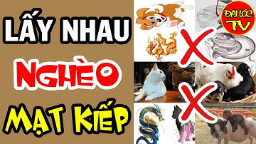 6 Cặp Con Giáp Lấy Nhau Là NGHÈO XƠ XÁC Khó Khăn Khổ Sở Suốt Cuộc Đời