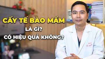 Cấy tóc tế bào mầm là gì? Có hiệu quả không?