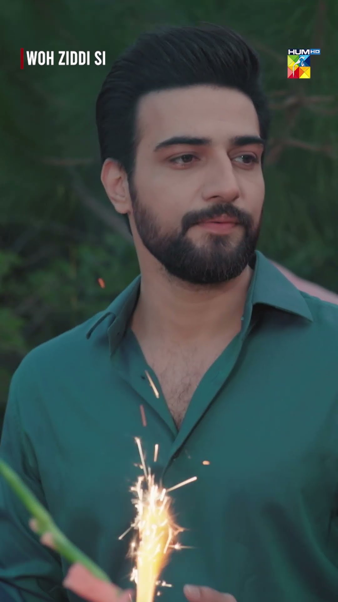 Rida Ki Birthday..! #ainaasif #aliabbas #wohziddisi #humtv