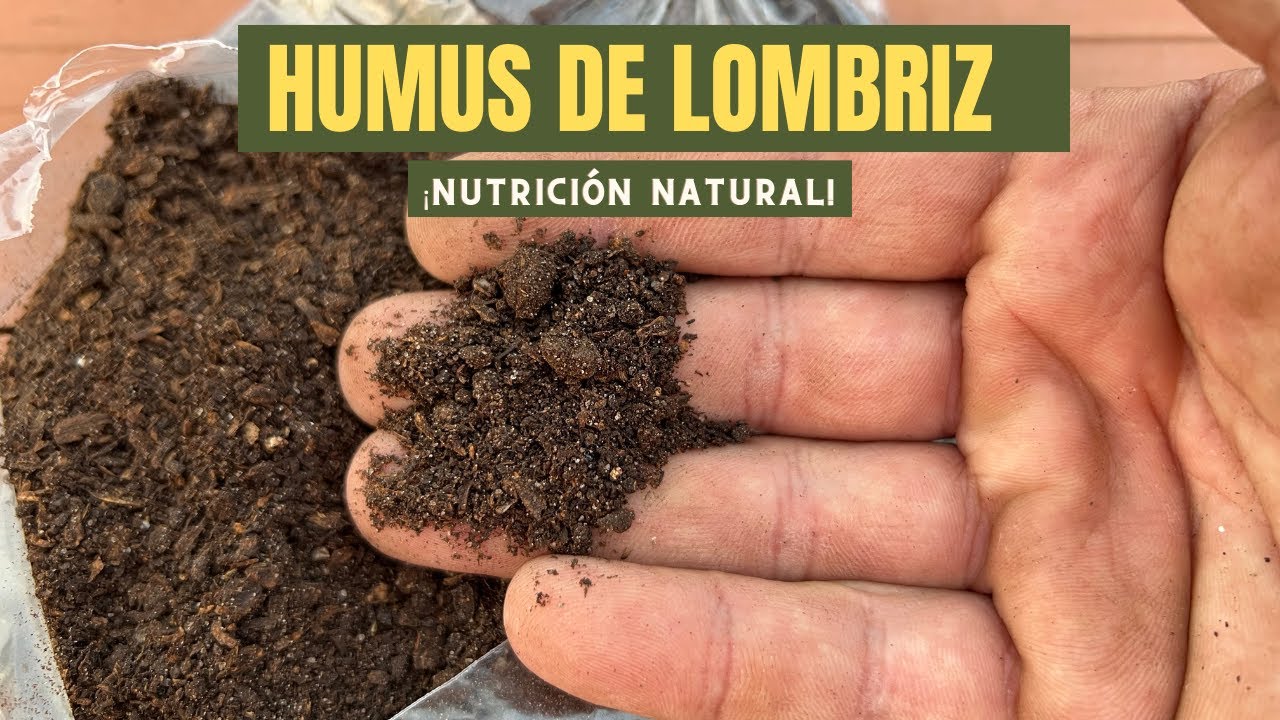 Humus de Lombriz para Bonsáis: La Alternativa Natural para un Crecimiento Saludable