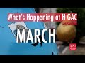 Whats happening at hgac with sara hart  march 2024 segment