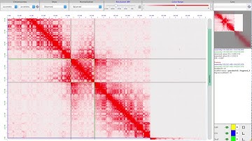 Tutorial video for Juicebox Assembly Tools