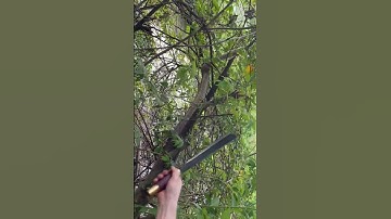 Tôi làm con dao năm đi rừng bằng thép xích xe tăng sắc bén vô địch không phải bàn cãi gì hết