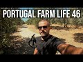 Portugal Farm Life - 46 - Hot Summer Ride, Mareteca, Castelo Branco