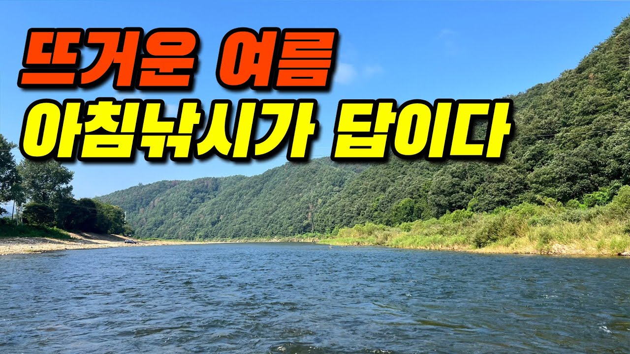 뜨거운 여름 쏘가리낚시 아침낚시가 답이다!