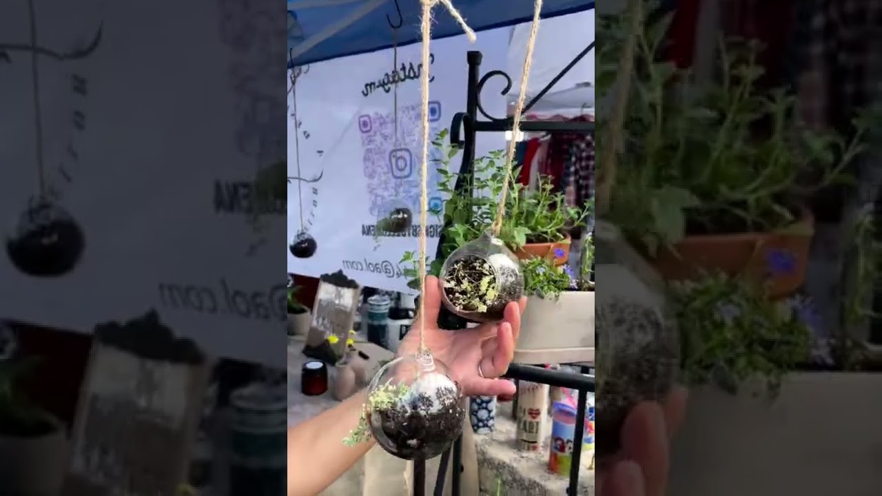 Terra Verde Farms Fall Fair YouTube