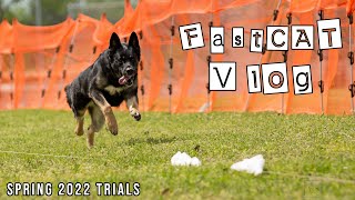 AKC FastCAT Vlog  Spring 2022 Trials