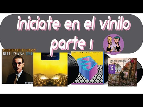 Everything You Need to Know to Get Started with Vinyl PART 1 | The Records