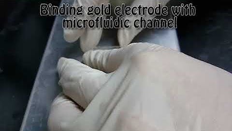 Microfluidic channel embedded electrochemical biosensor for Bisphenol A detection