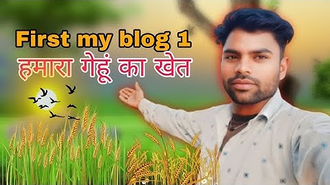 Fitsrmyblog1 .हमारे खेत में गेहूं🌾.myfirst.Vlog.  1M.   YouTube...10k. subscribe 1firstmyblog 1M.