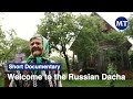 Welcome to the Russian Dacha | The Moscow Times