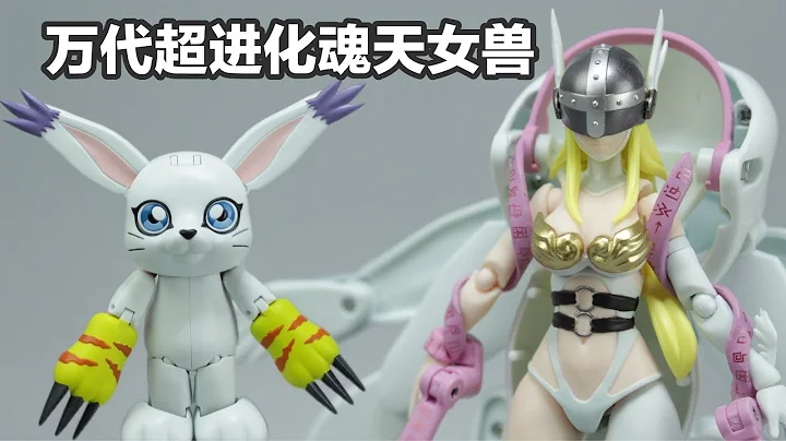 萬代超進化魂天女獸《數碼寶貝》【濤哥測評】Digimon Adventure Digivolving Spirits 04 ANGELWOMON - 天天要聞