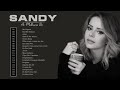 S.a.n.d.y As musicas melhores 2021 - CD Completo 2021