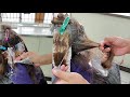 COMO HACER RETOQUE DE CANAS Y MECHAS CON PAPEL PLATA  PASO A PASO