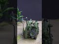 (Pre-Order) ProPainted Figures set Charlie on the left, Vietnam war (5 figures)