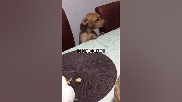É perrengue do dia  Ekko & Vovó em missão impossível