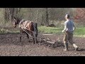 Конный культиватор Horse cultivator