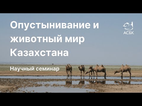 Опустынивание и животный мир Казахстана. Онлайн-семинар