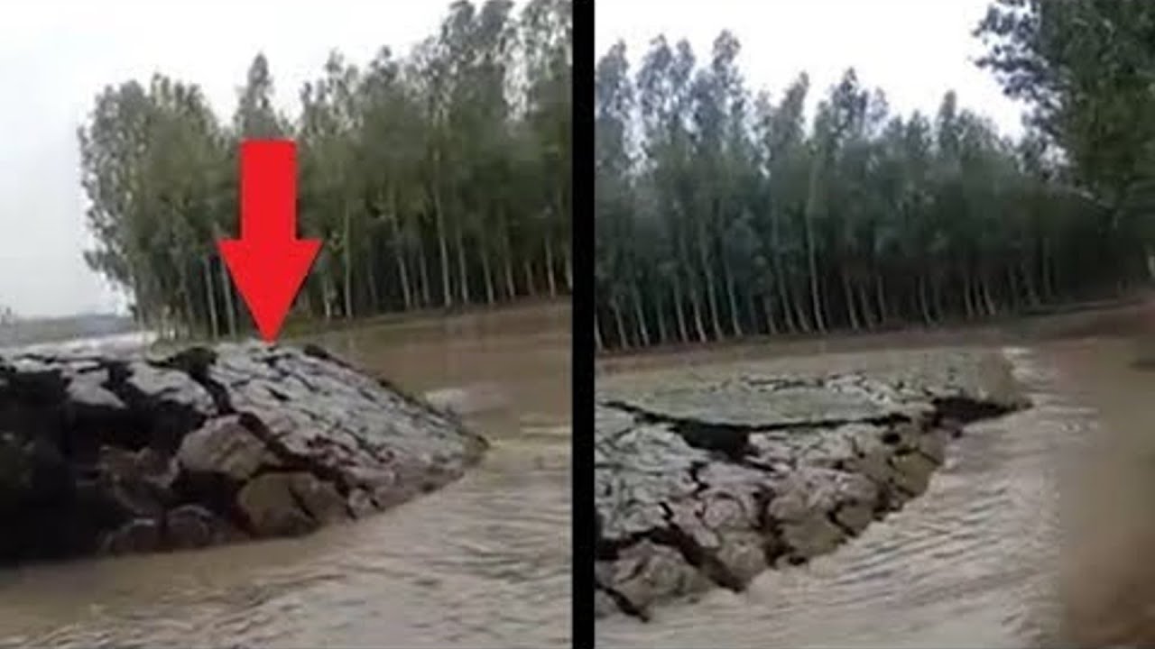 На глазах у отдыхающих, из реки поднялось нечто огромное! Люди ...