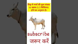 विश्व में गायों की कुल संख्या/ duniya me gaay kitani he #shorts #shortsvideos #cowvideos