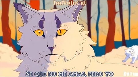 The Other Side Of Paradise ~ M.A.P de Tormenta Blanca y Estrella de Tigre /Mudshadow/ [sub español]